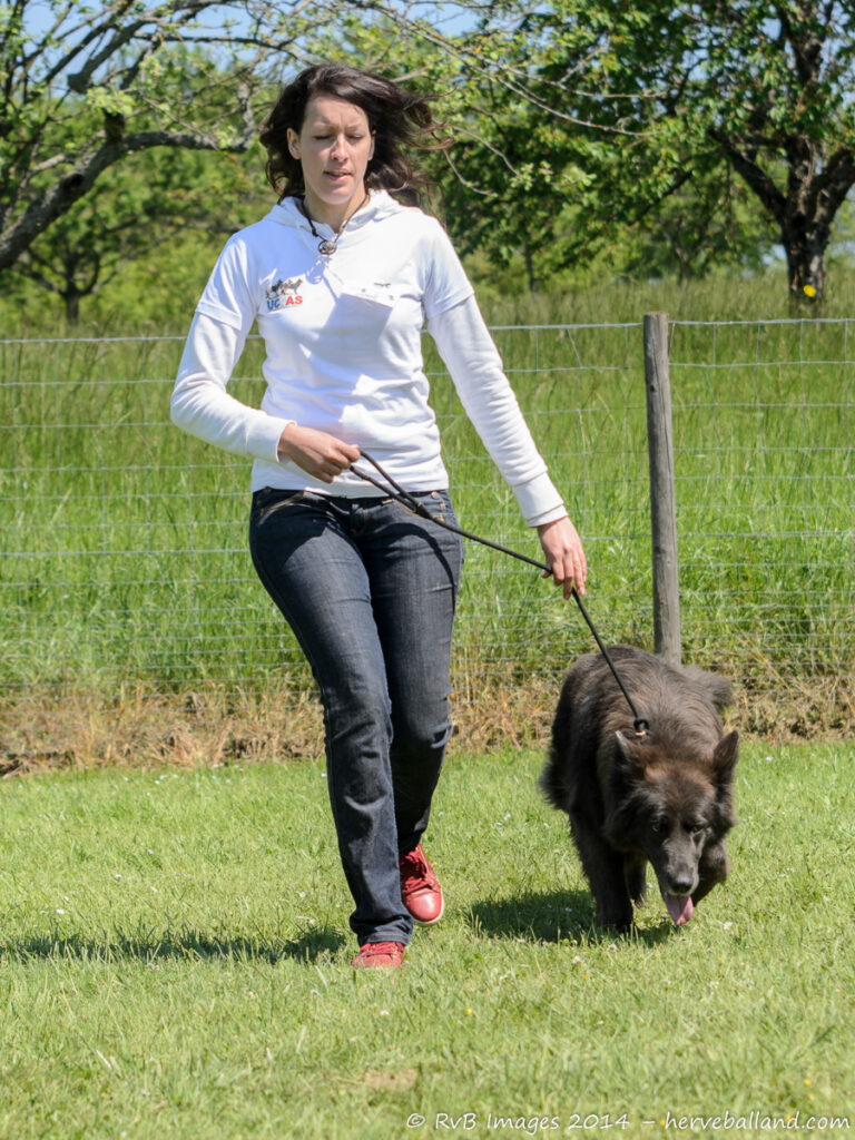 NE Boersch 2014-441