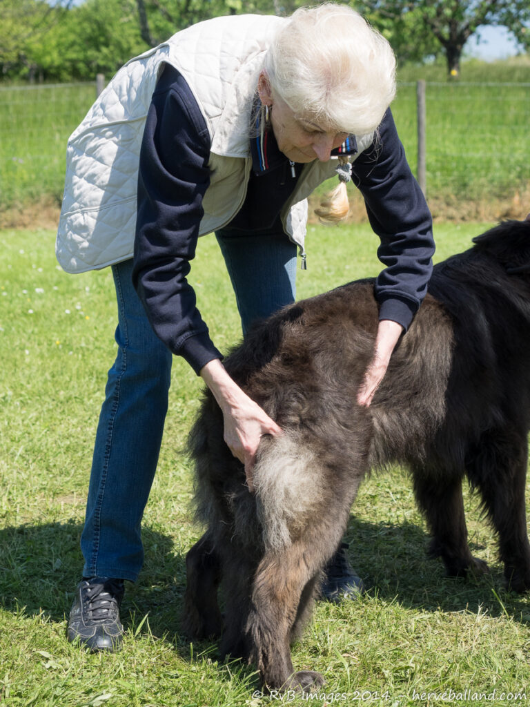 NE Boersch 2014-442