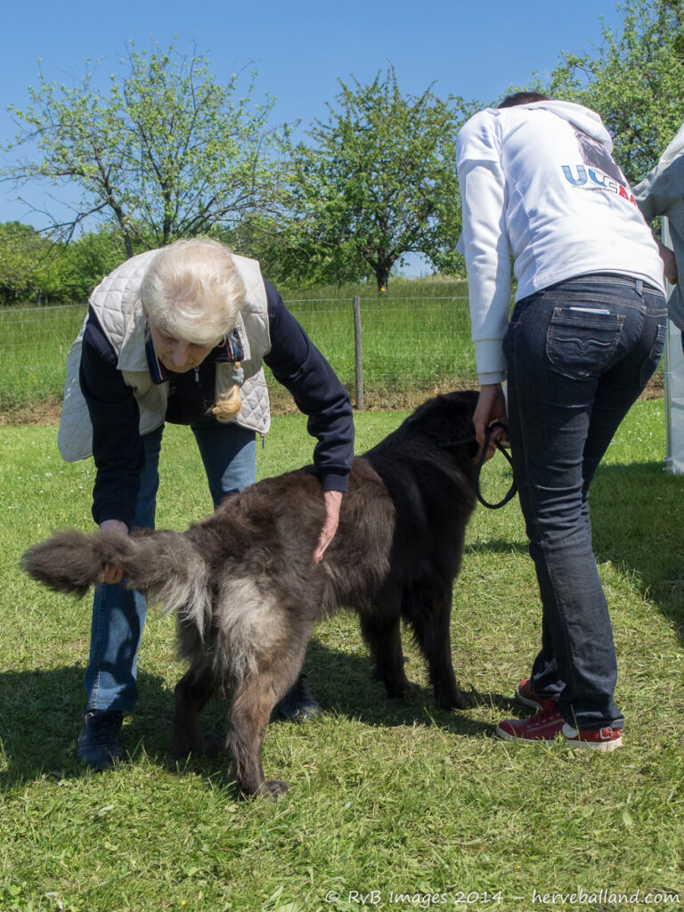 NE Boersch 2014-443