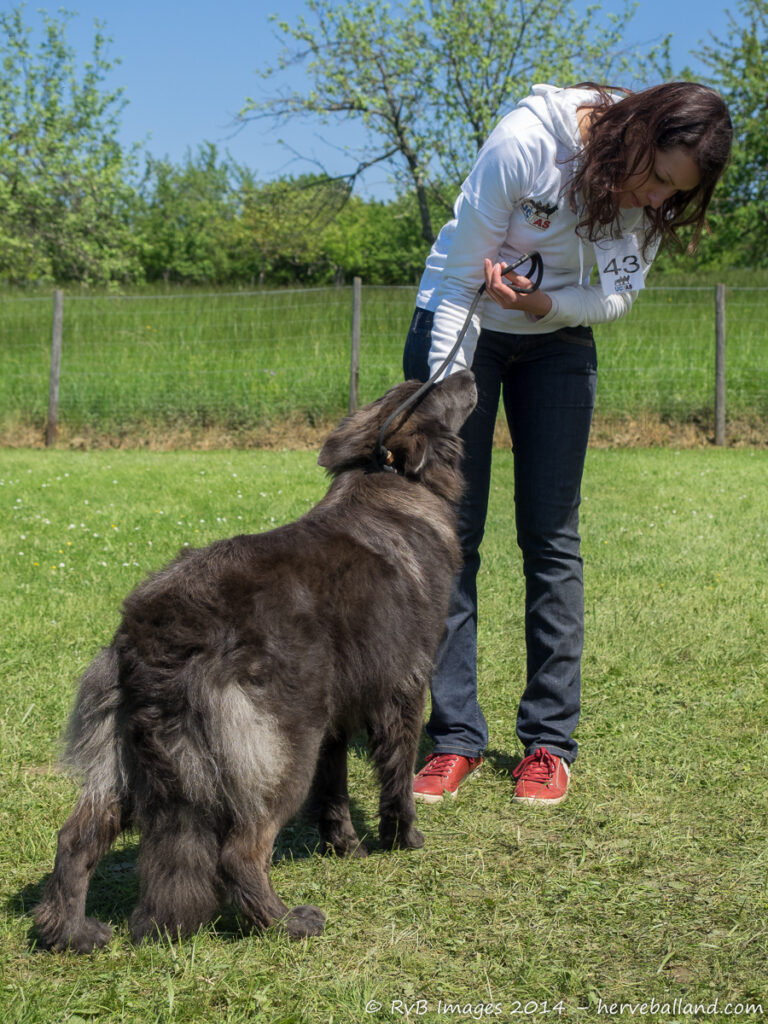 NE Boersch 2014-444