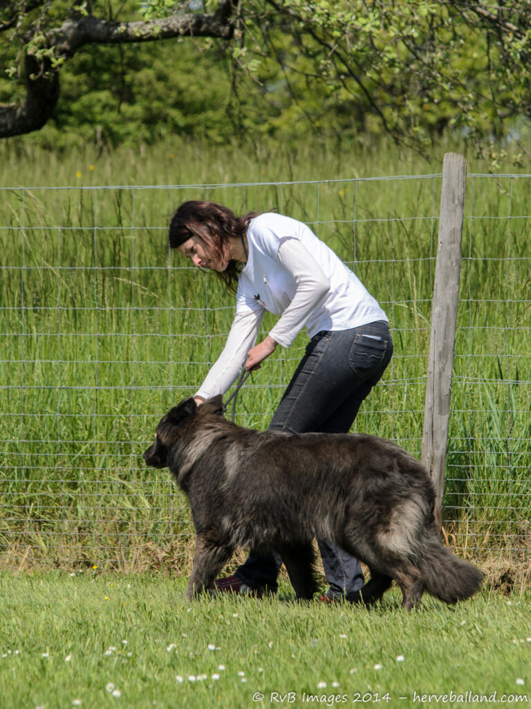 NE Boersch 2014-454