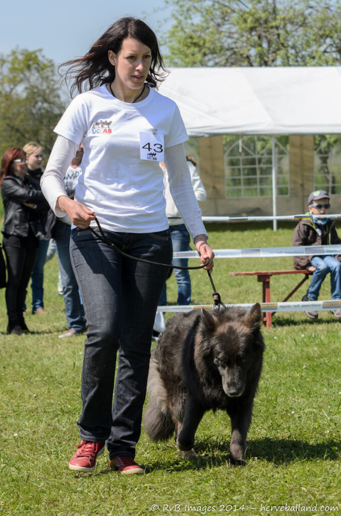 NE Boersch 2014-455