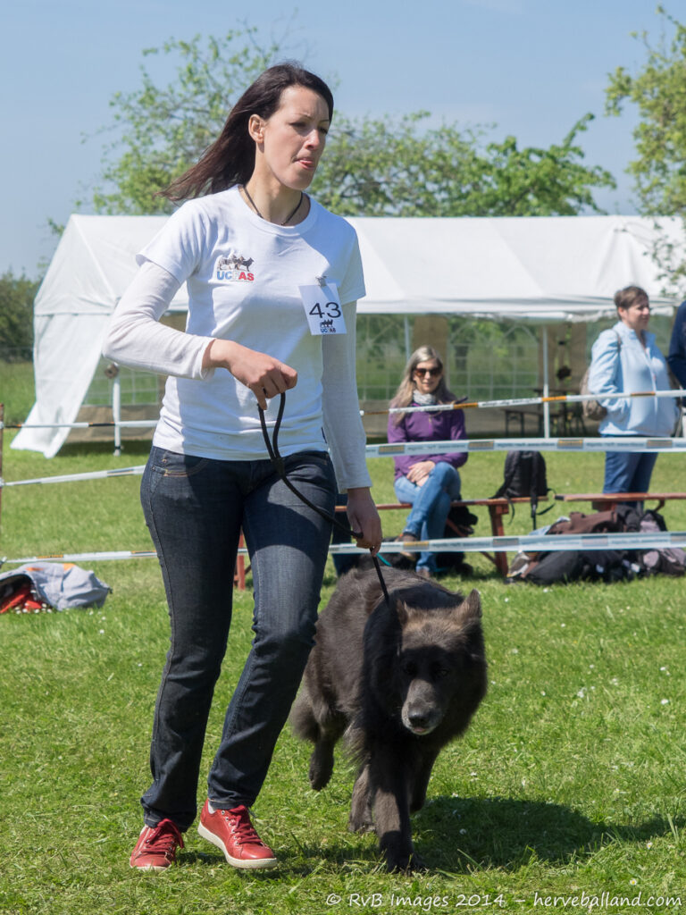 NE Boersch 2014-457
