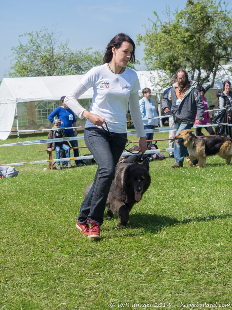 NE Boersch 2014-458