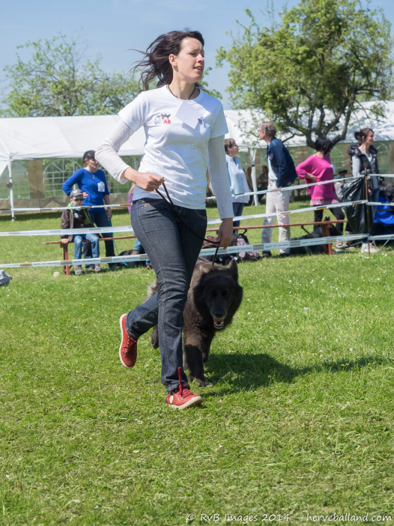 NE Boersch 2014-459