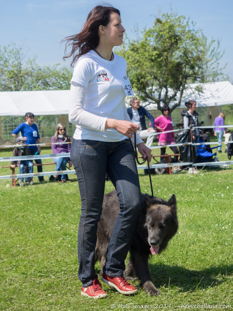 NE Boersch 2014-460