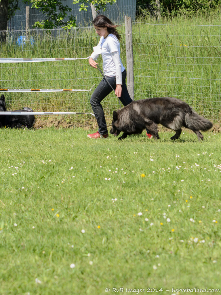 NE Boersch 2014-462