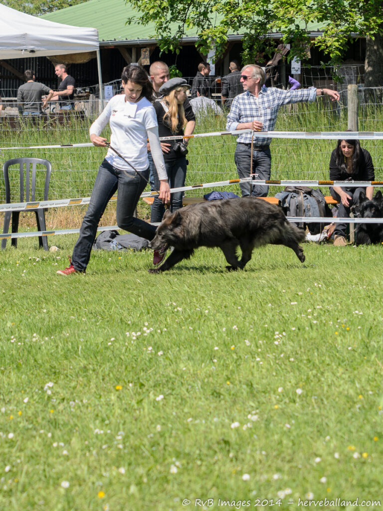 NE Boersch 2014-463