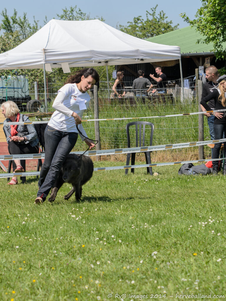 NE Boersch 2014-464