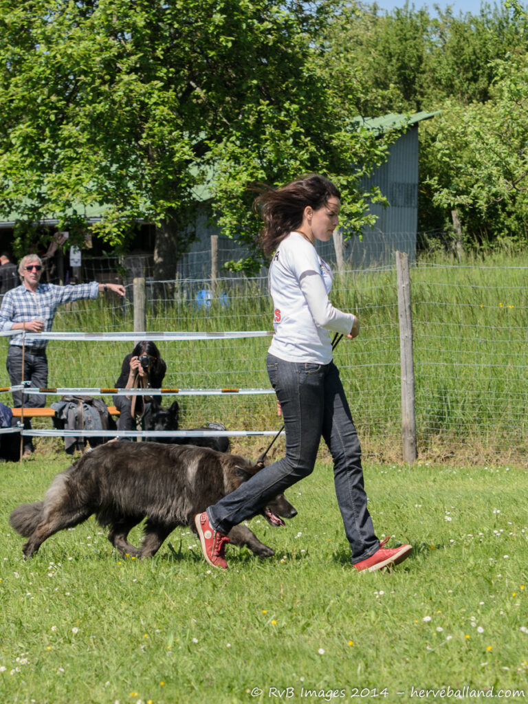 NE Boersch 2014-465
