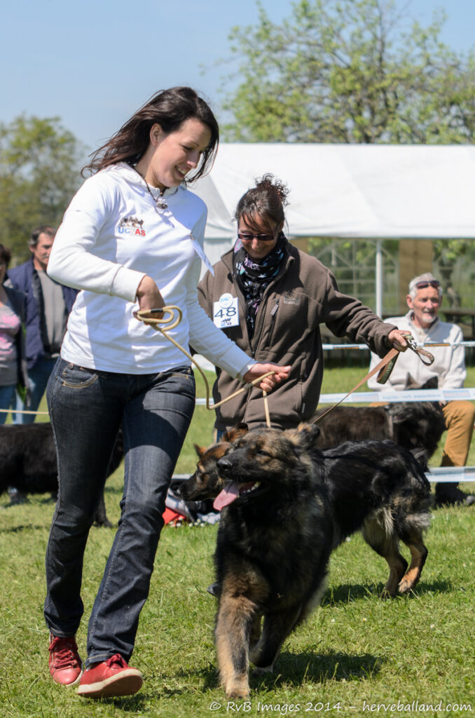 NE Boersch 2014-468