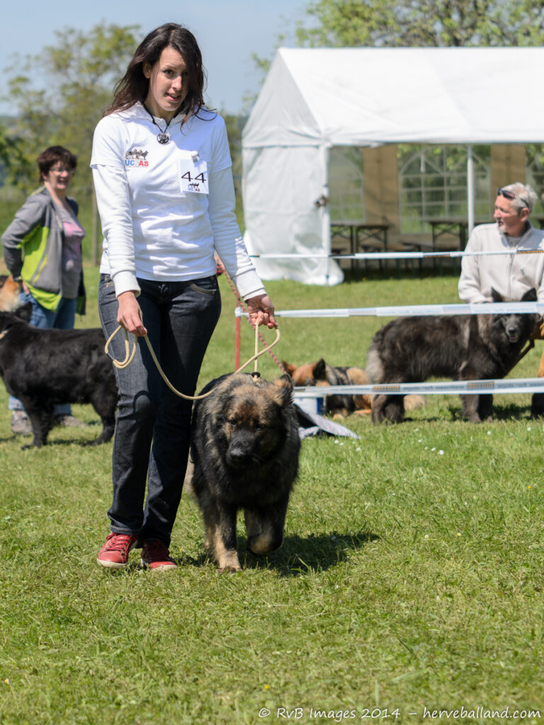 NE Boersch 2014-470