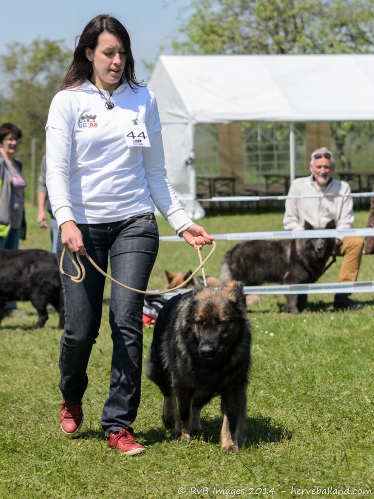NE Boersch 2014-471