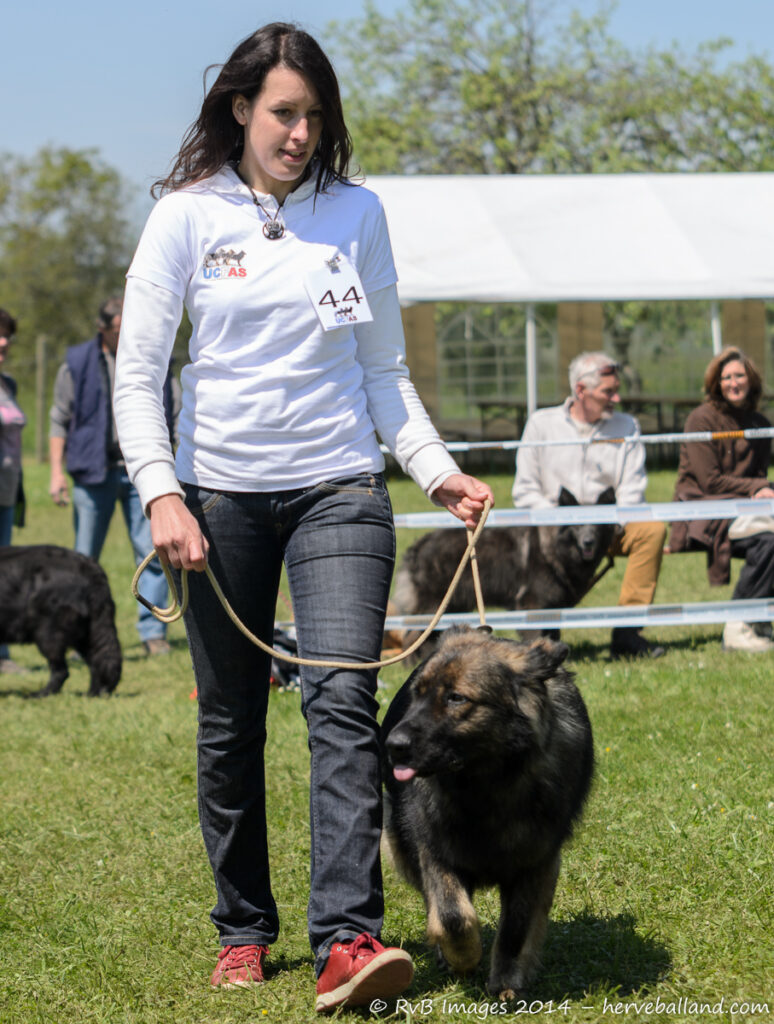 NE Boersch 2014-472