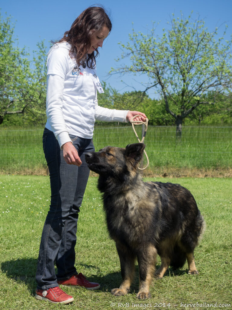 NE Boersch 2014-473