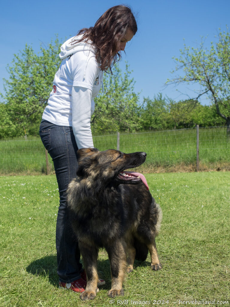NE Boersch 2014-476