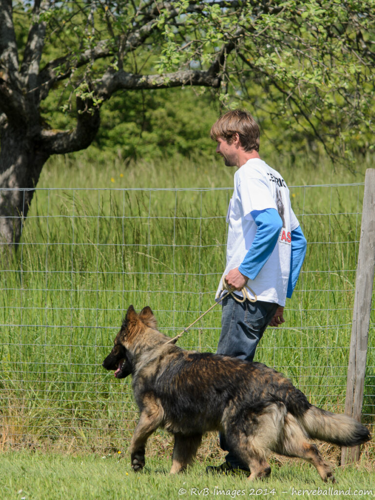 NE Boersch 2014-482