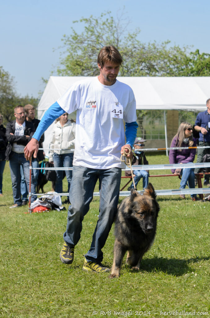 NE Boersch 2014-483
