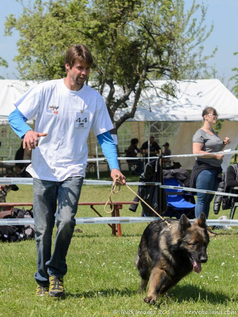 NE Boersch 2014-484