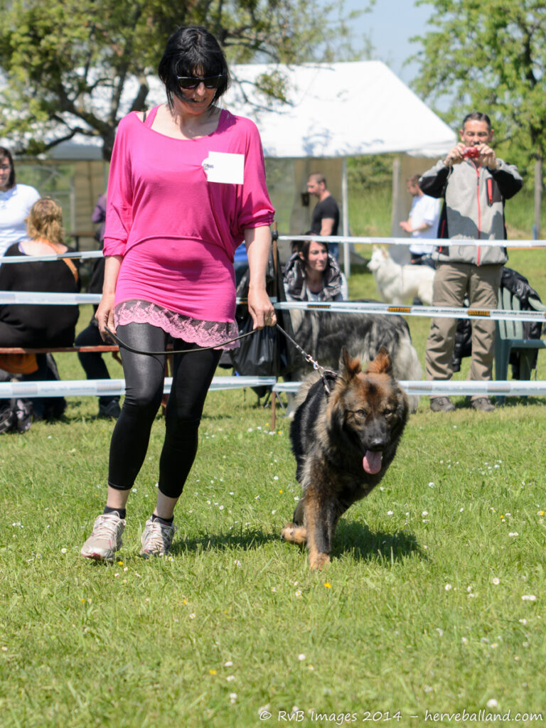 NE Boersch 2014-486