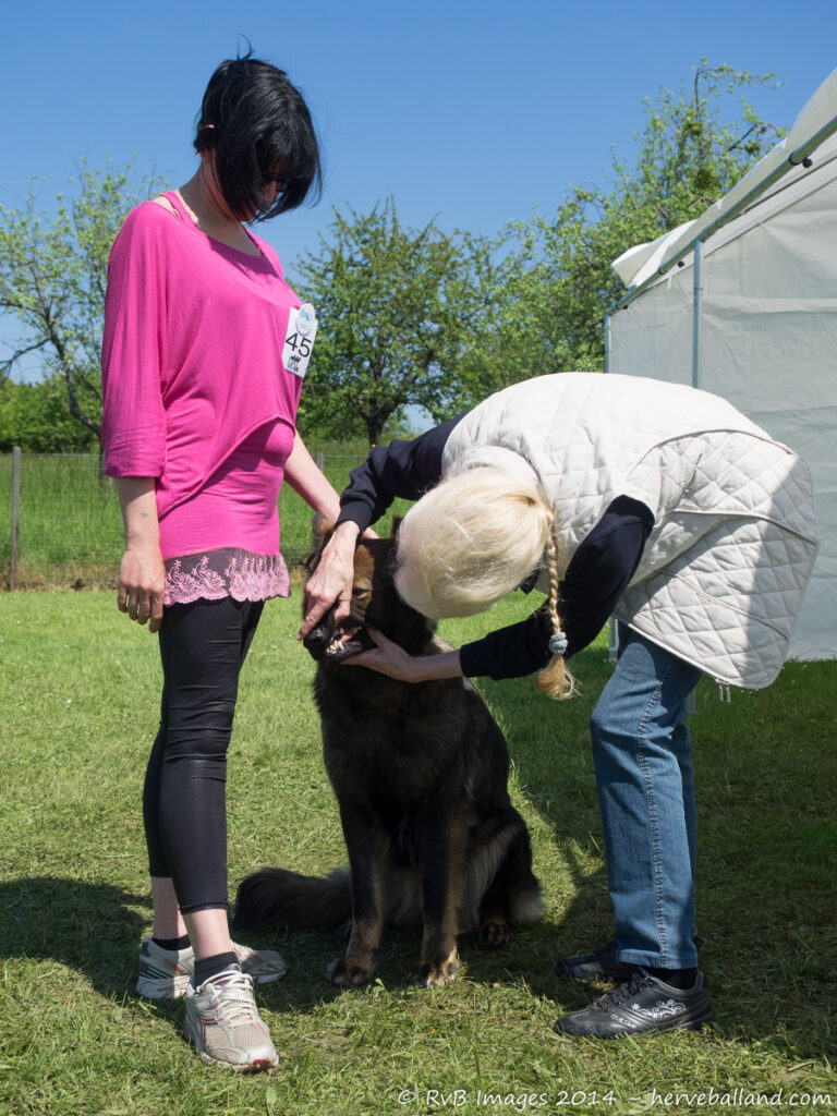 NE Boersch 2014-488