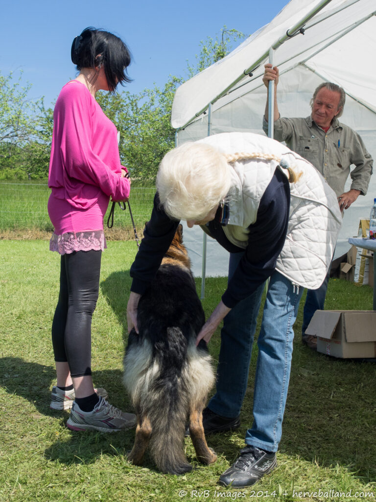 NE Boersch 2014-494