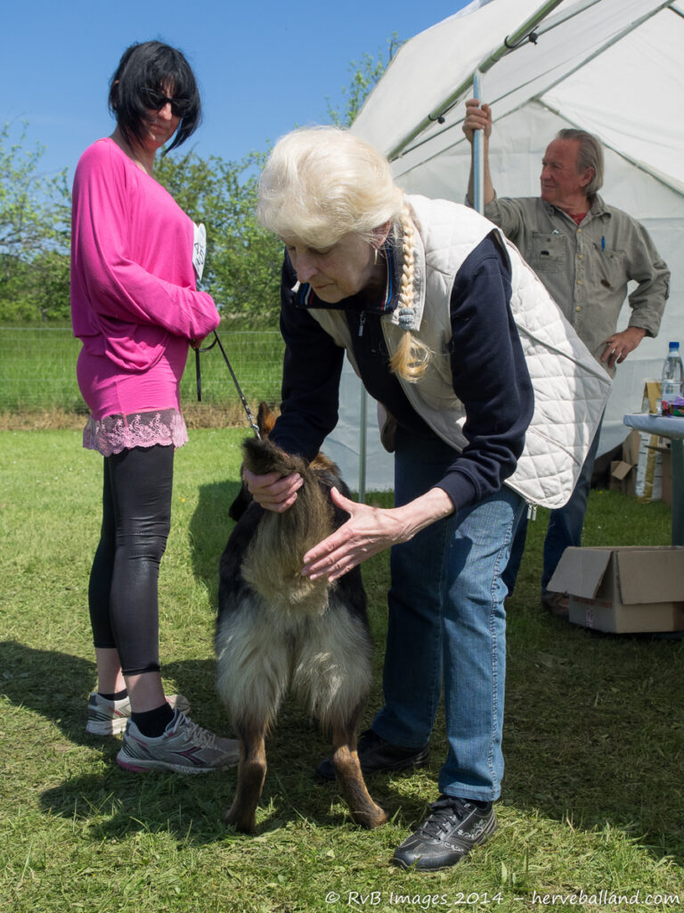 NE Boersch 2014-495