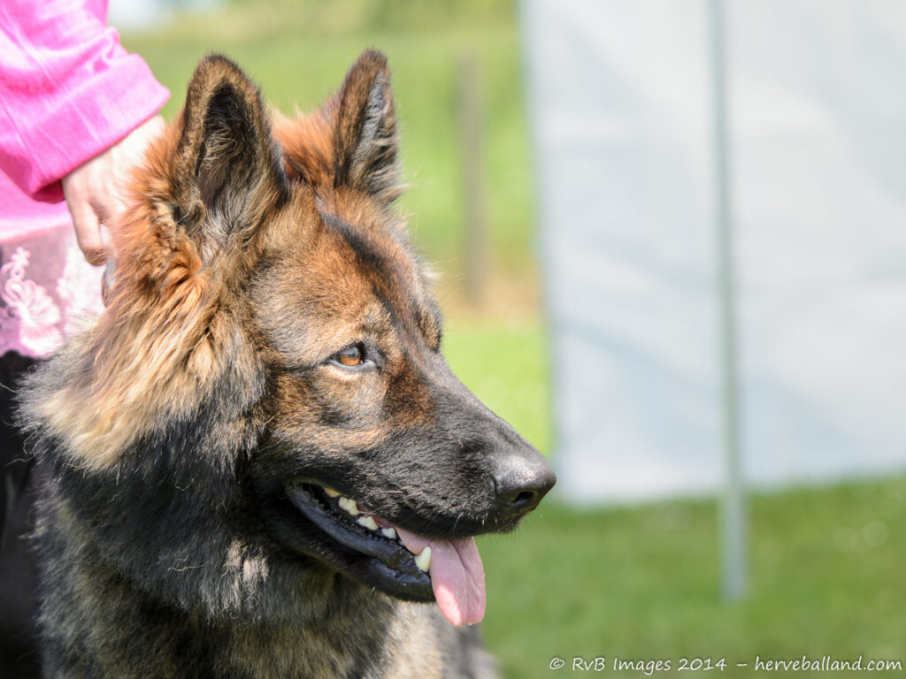 NE Boersch 2014-498