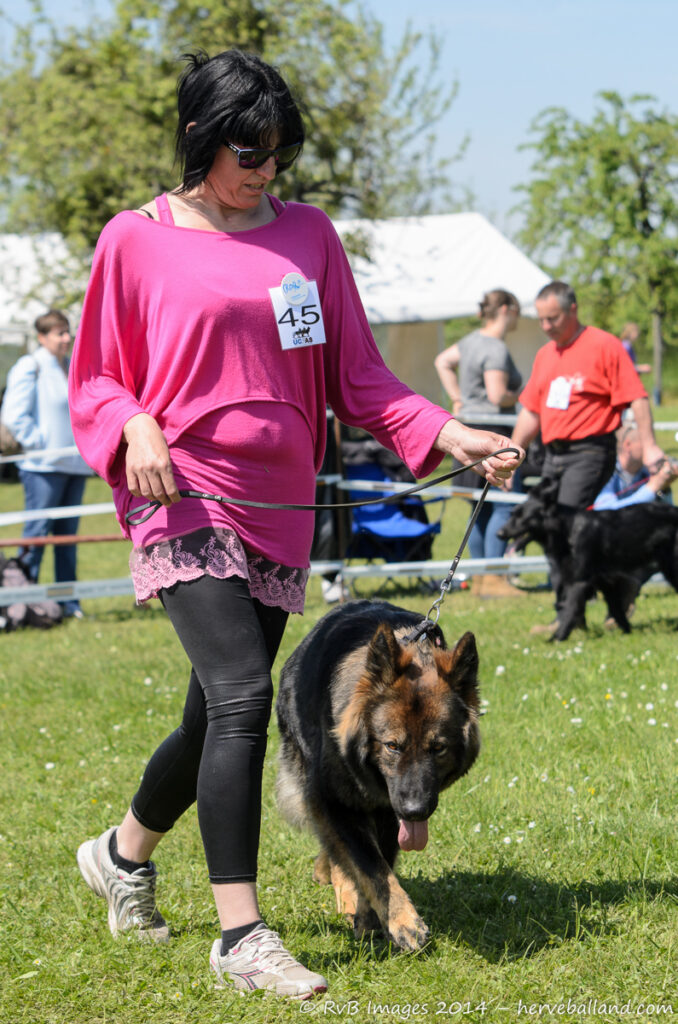 NE Boersch 2014-500