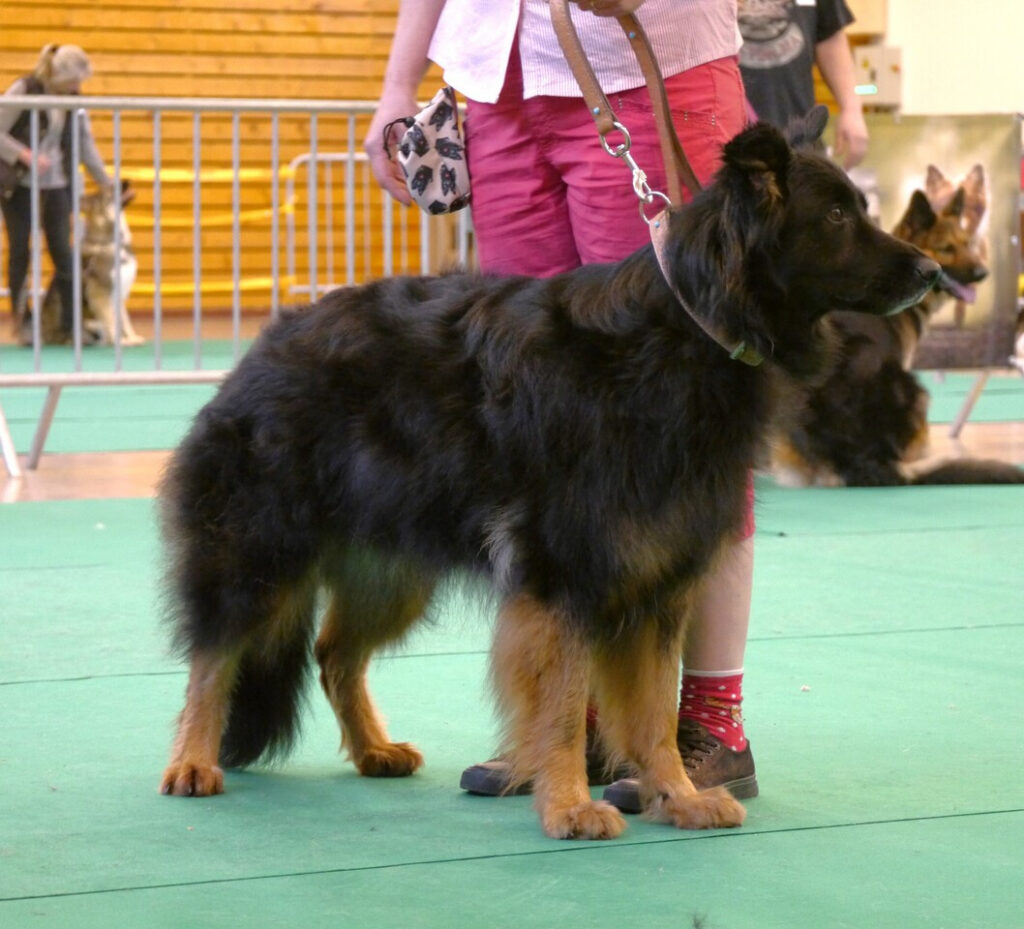 Naja 8