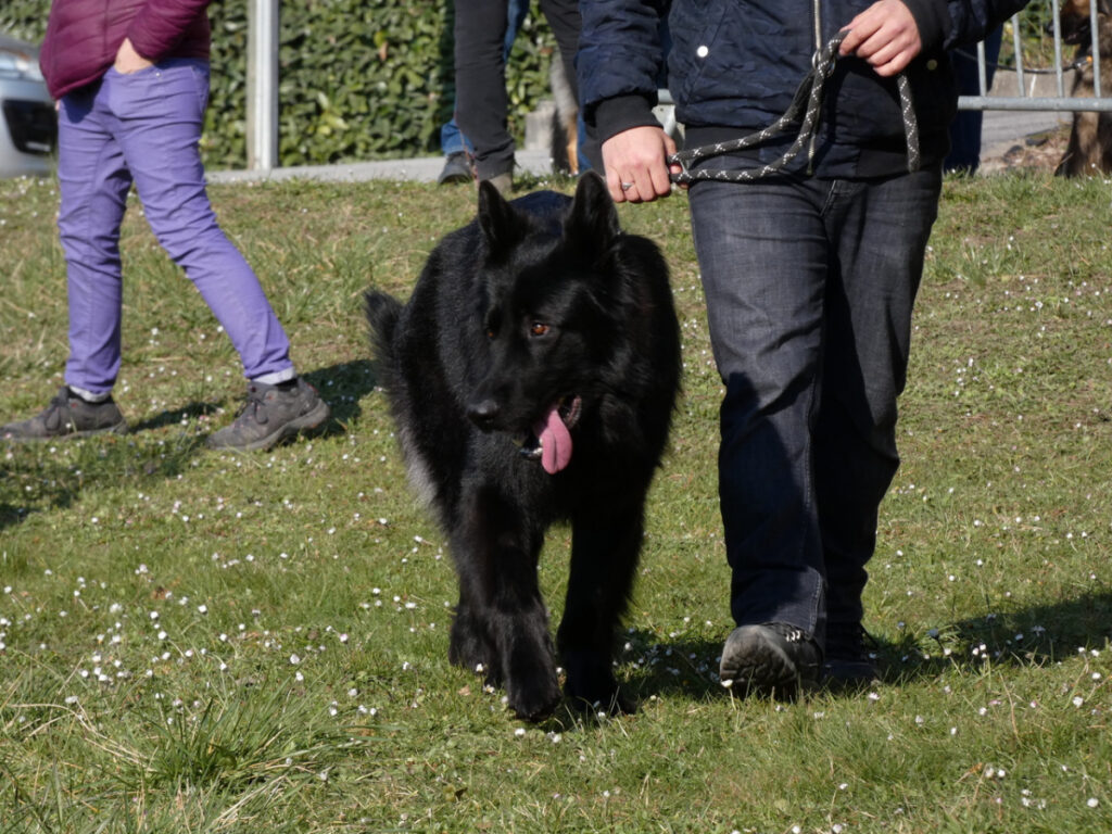 P1090325