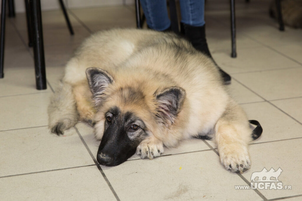 PF3C2318.resized