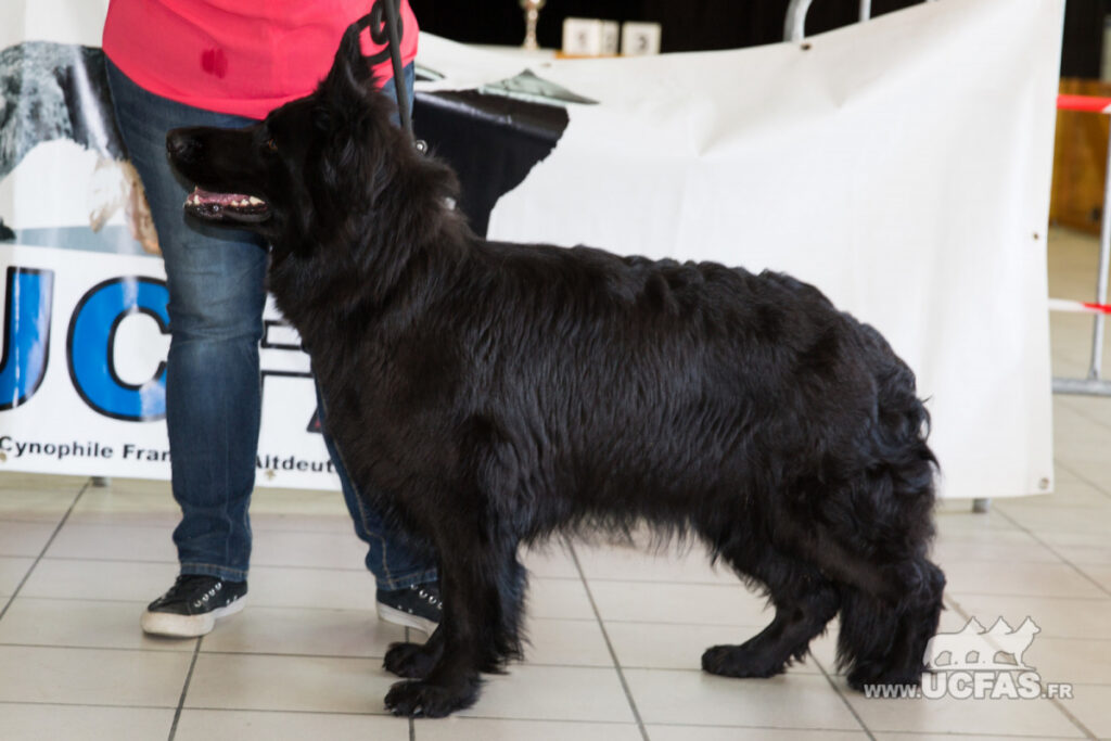 PF3C2946.resized