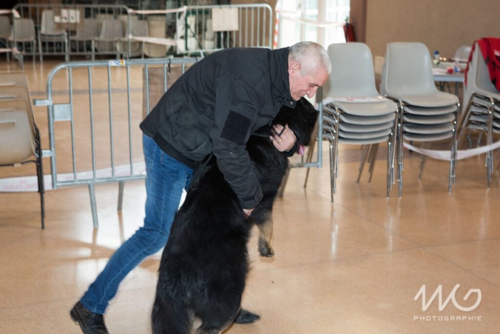 PF3C3293