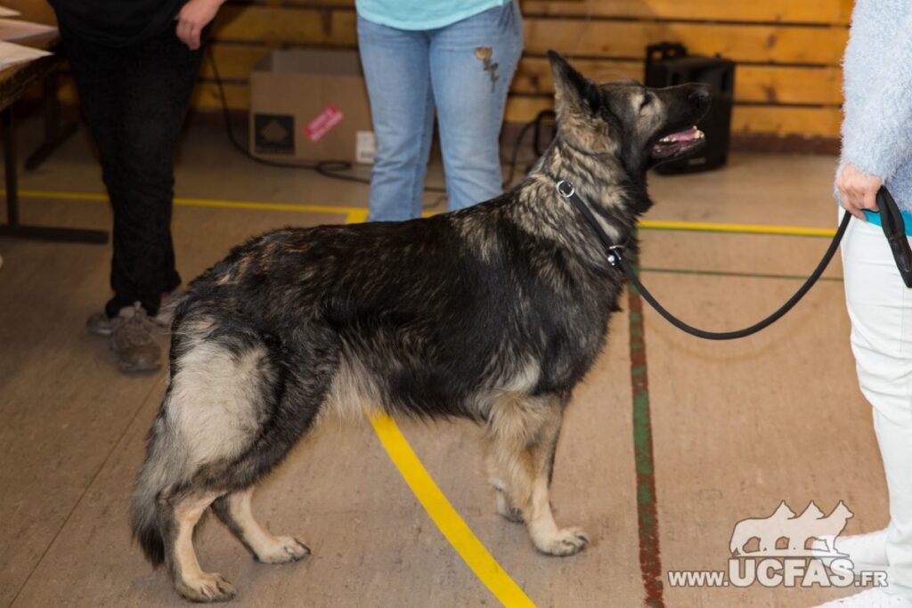 PF3C7648.resized