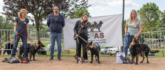 Classe Puppy Femelles