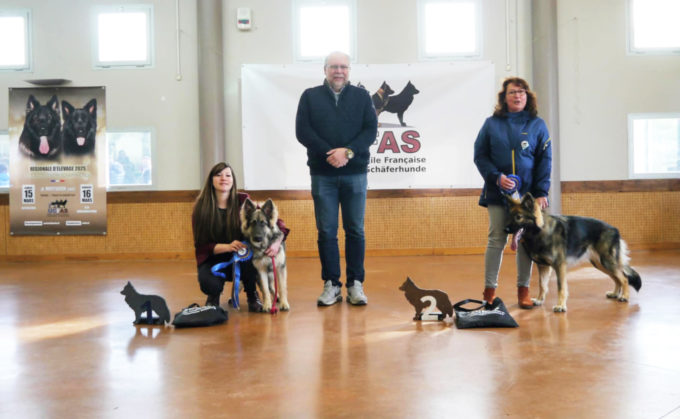 Classe Puppy – Femelles