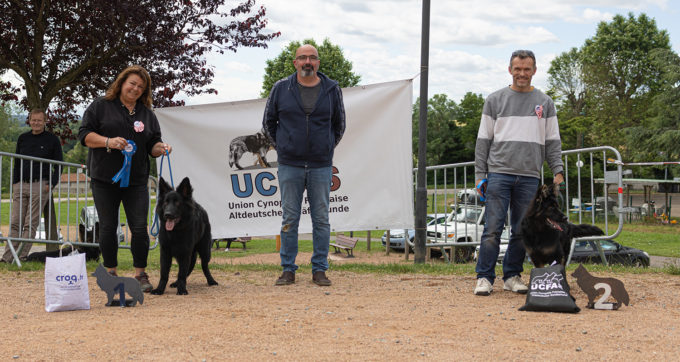 Classe Puppy – Mâles