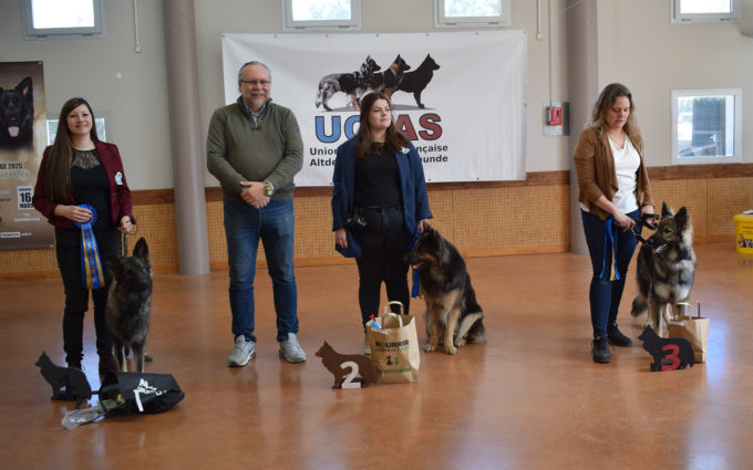 Classe Intermédiaire Femelles