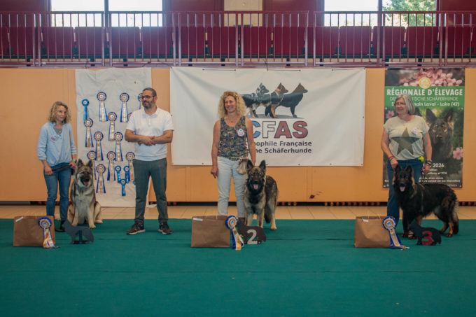 Classe Puppy – Femelles