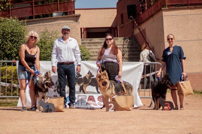 Classe Puppy Mâles