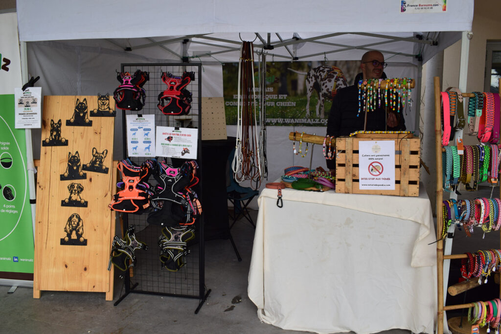 STAND 2 copie
