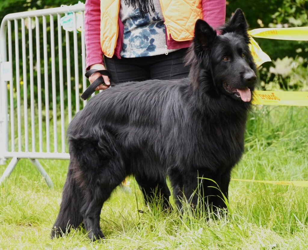 Thornbjörn 2