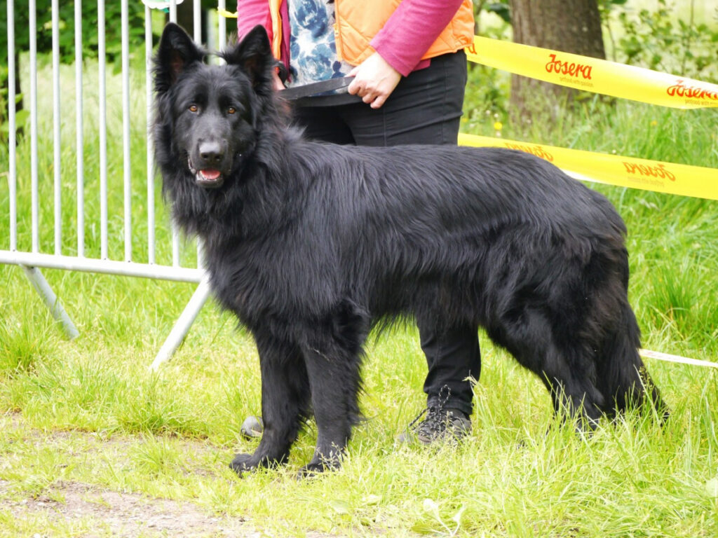 Thornbjörn 8