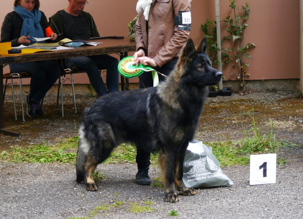 Togo 5