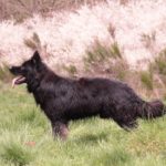 WhatsApp Image 2025-04-26 à 17.16.35_86d9e9fc