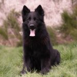 WhatsApp Image 2025-04-26 à 17.24.51_b64c7859