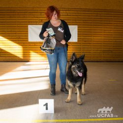 Classe Puppy Femelles