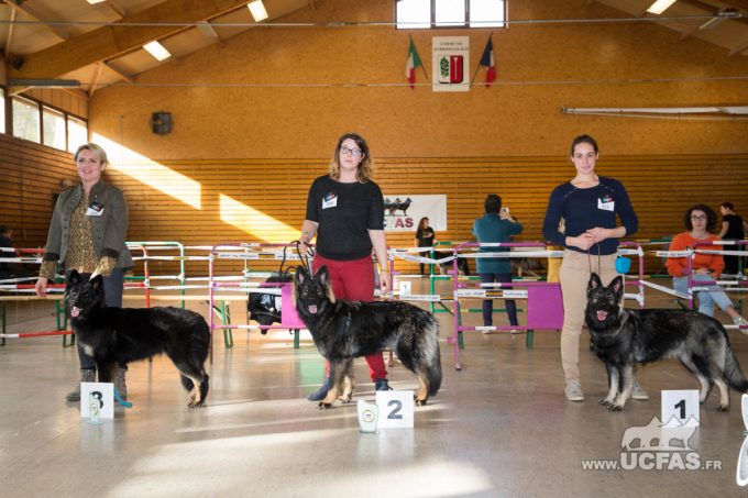 Classe Jeune Femelles