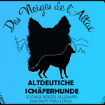 bannière site des neiges de l altai ucfas